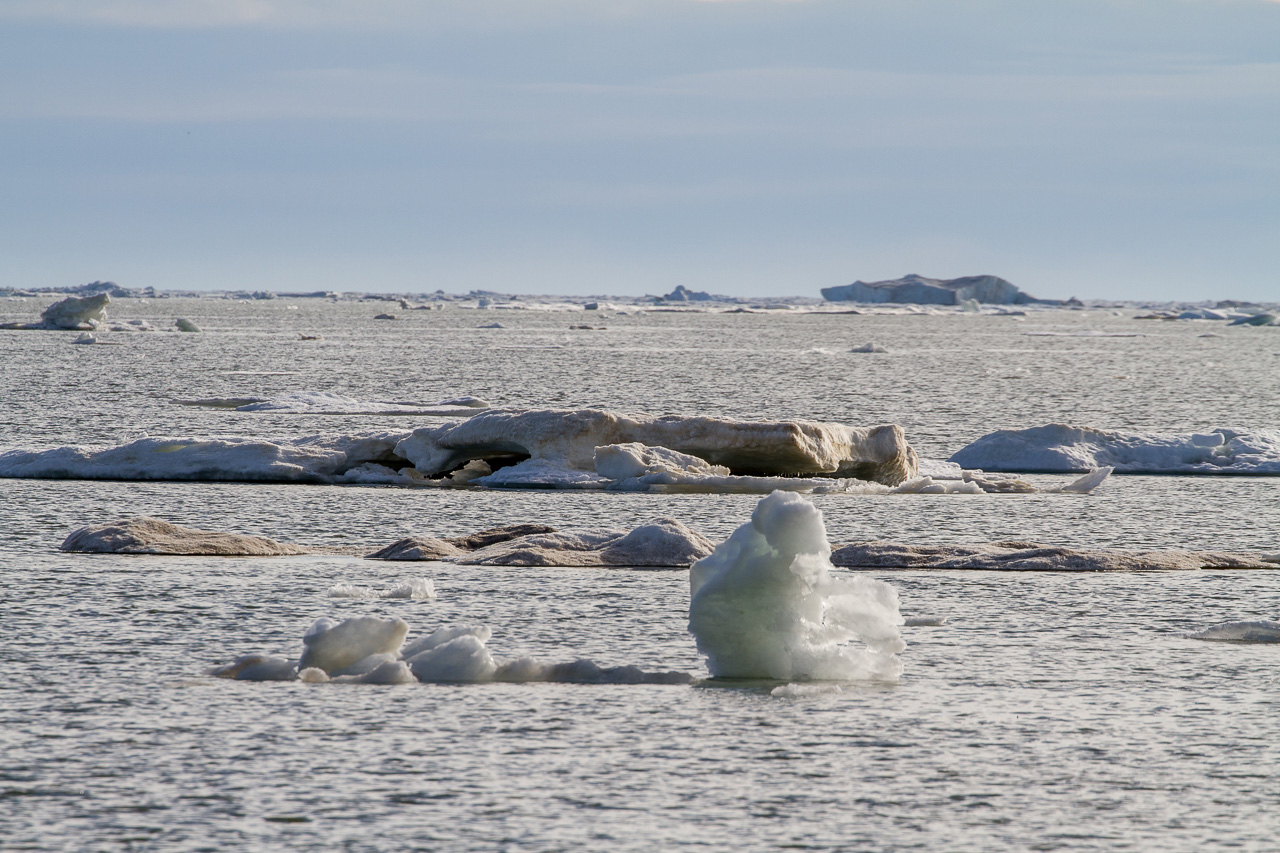 лёд моря Лаптевых